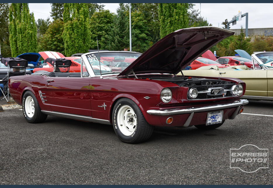 66 'Stang Convertible