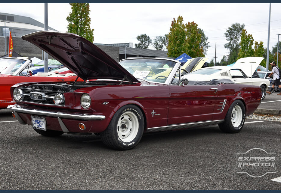 66 'Stang Convertible