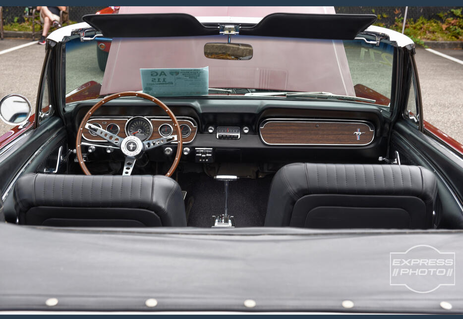 66 'Stang Convertible 66 'Stang Convertible